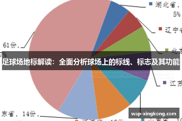 足球场地标解读：全面分析球场上的标线、标志及其功能